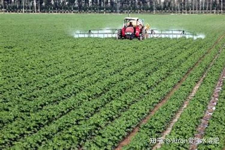 中国水溶肥的前十名中国十大水溶肥排名