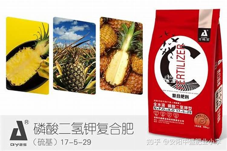 菠萝施什么肥最好