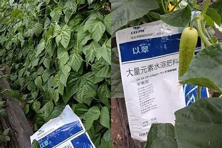 水溶肥那一个厂的好