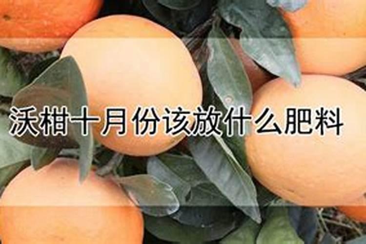 白云石成分和用途
