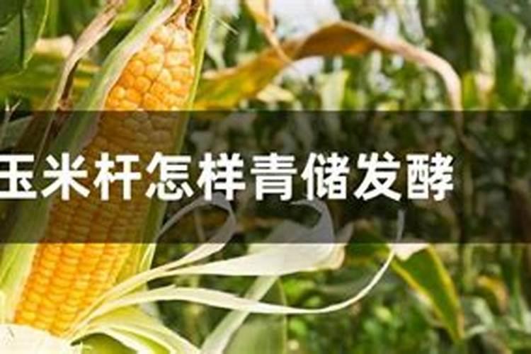 各位专家。冬季苹果园地面上,铺盖粉碎的玉米杆,对果树有什么好处？