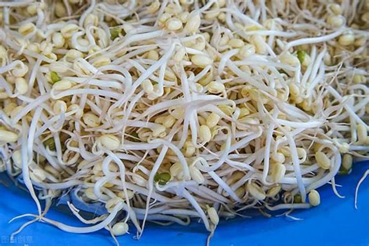 绿豆芽皮废物利用？