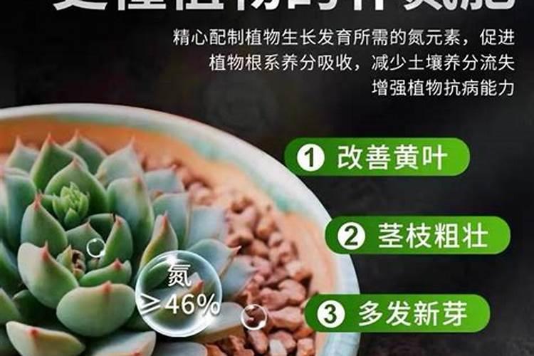 生活小妙招水溶肥做好后有酒糟味能食用吗