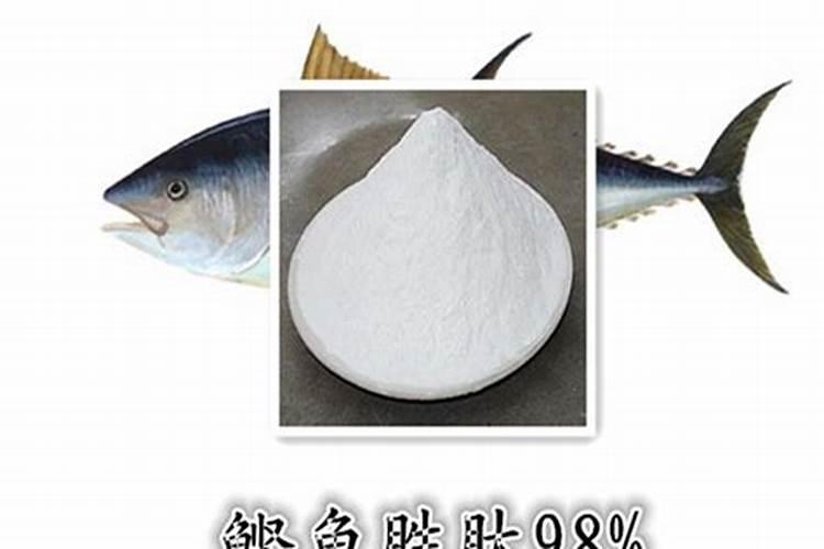 鱼溶浆和鱼蛋白有什么区别