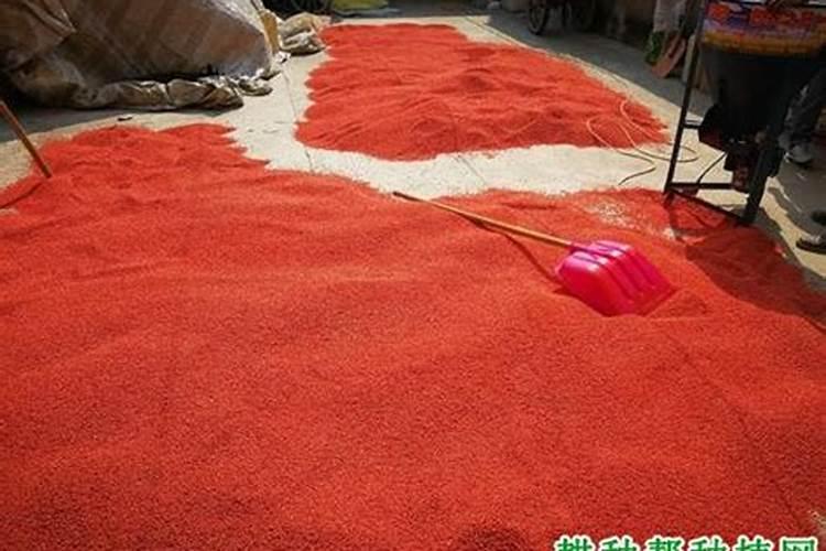 苹果树春季用什么化肥好