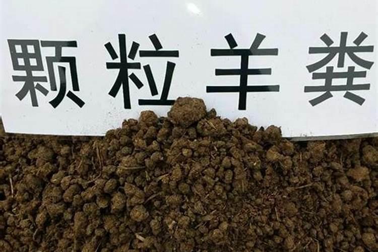 山西年马肥业有限公司怎么样