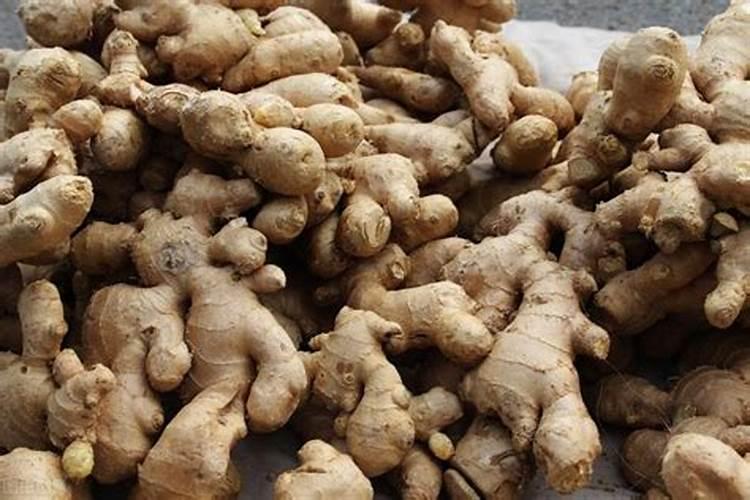 请问问一下川芎施肥时没有农家施什么肥最好？