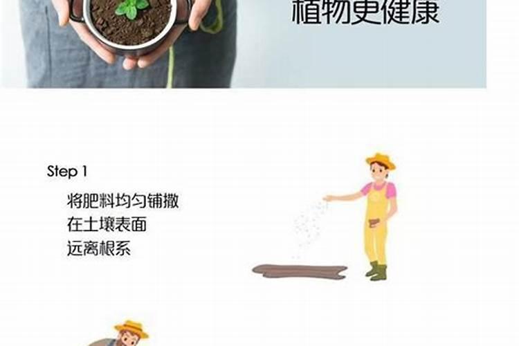 茉莉的施肥方法茉莉什么时候停止施肥？
