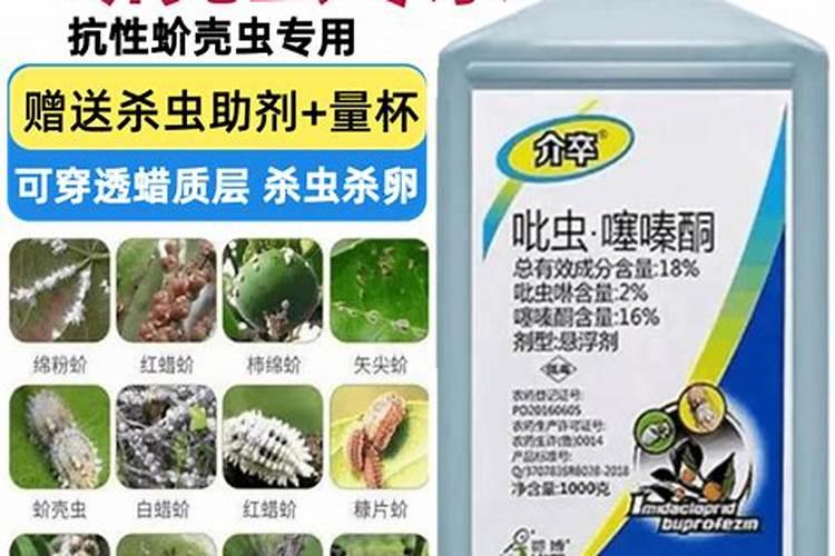 家里种的豆角长了很多蜜虫,请问有没有什么办法在不用杀虫剂的情况下杀死...