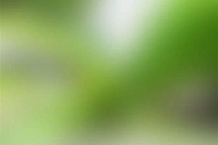 果树枝叶有黏的汁水怎么回事？