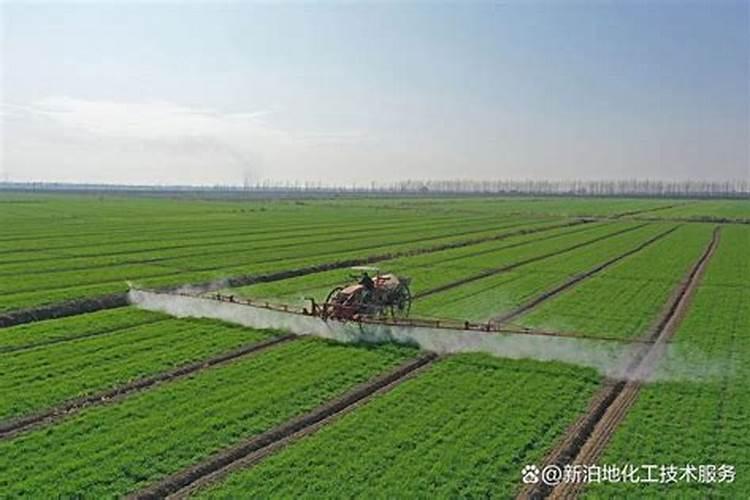 番茄苗用水溶肥后需要马上浇水吗