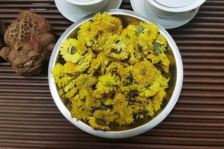 想要种植的茶花长得好,施什么肥好呢？