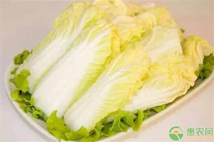 露地娃娃菜种植技术与管理技巧(娃娃菜栽培技术要点)