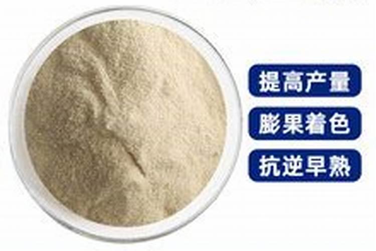 鱼蛋白肥料厂家前十名