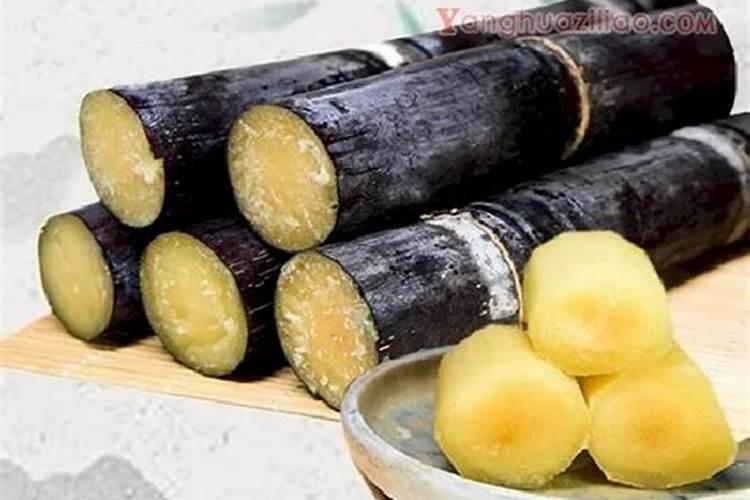 甘蔗需要在什么时间阶段,施肥是最好的时候？