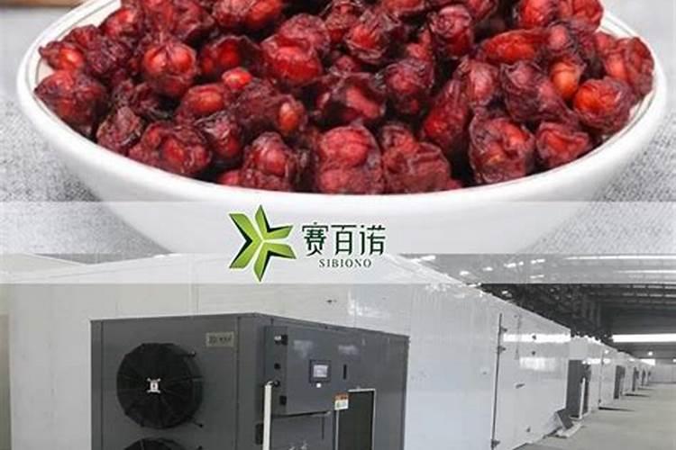 五味子施足基肥是什么意思