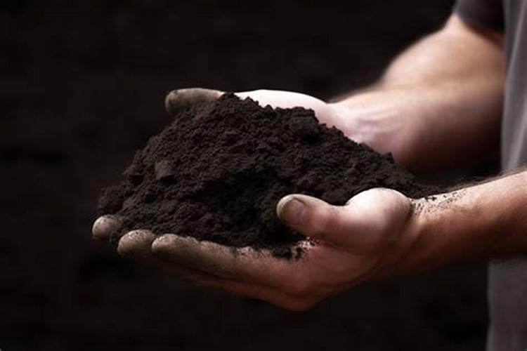 搜种地一次性的用什么肥料我家大地种玉米想一次性用肥,不知道用啥肥料...