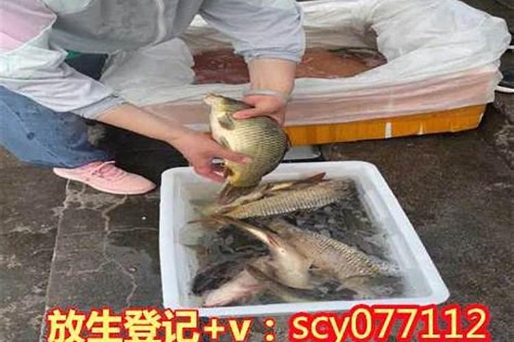 生根水直接浇土里好不