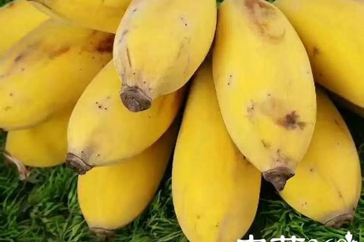 粉蕉抽蕾时施什么肥