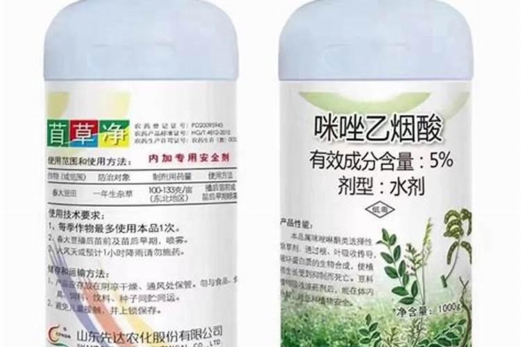 紫花苜蓿草长的太细怎么办花卉百科