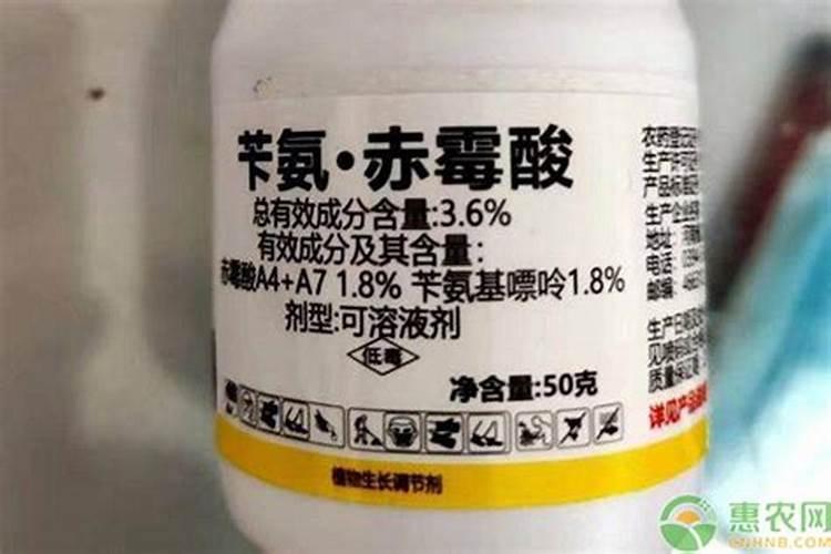 赤霉素不拿酒泡起作用吗？