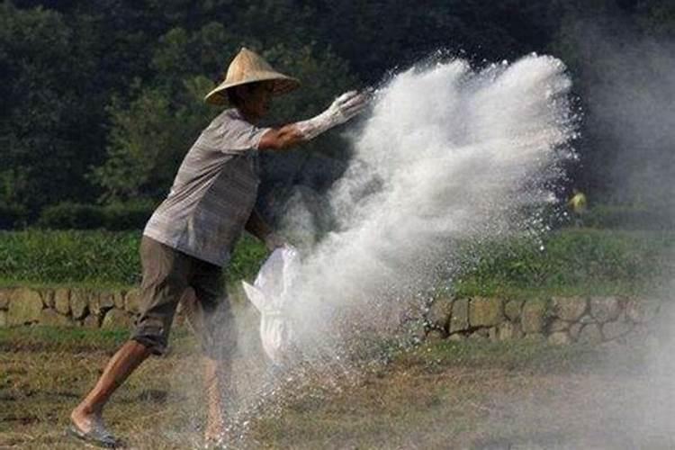钙肥主要成分是氧化钙,我直接用石灰不行吗？