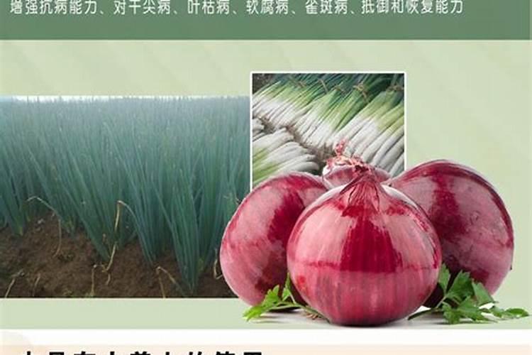 葫芦浇什么肥料合适