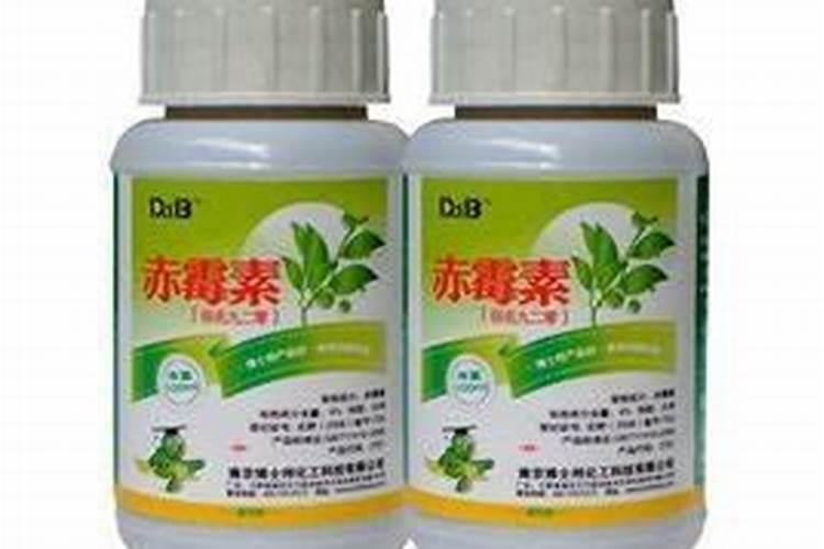 黄杨快速发芽方法,4种方法促进芽点生长