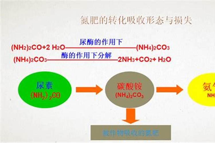 施高钾水溶肥有很多讲究,什么时候施用效果好呢？