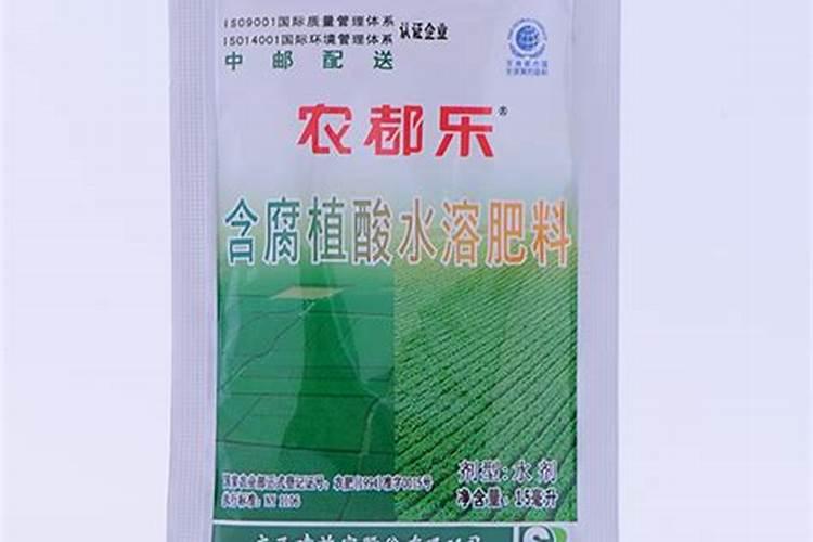 大棚芸豆什么时候控旺