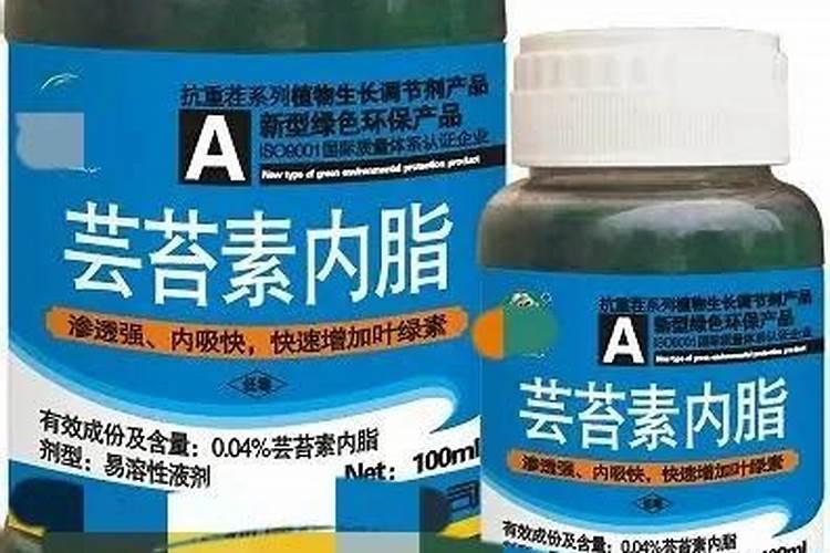 我家的金银花今年怎么大面积死亡呢,叶子样子见下面的图片,这是虫害呢还...