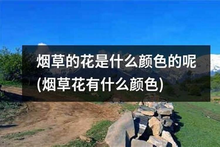 糖化硼能用在有机蔬菜上吗？