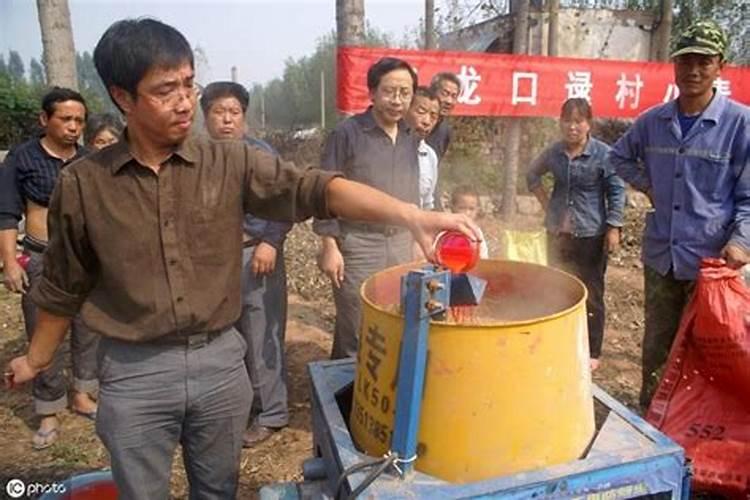 绿萝能施磷肥复合肥和尿素吗