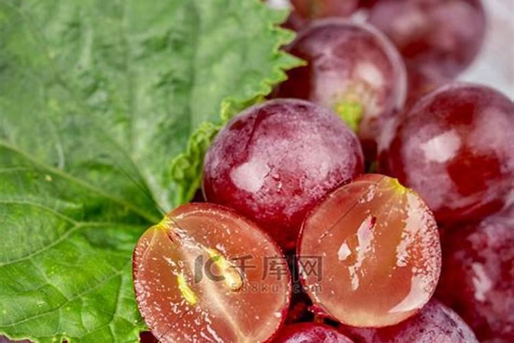 葡萄一般用什么肥料