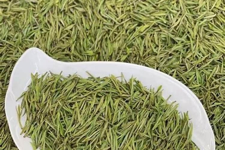 怎样让安吉白茶少开花