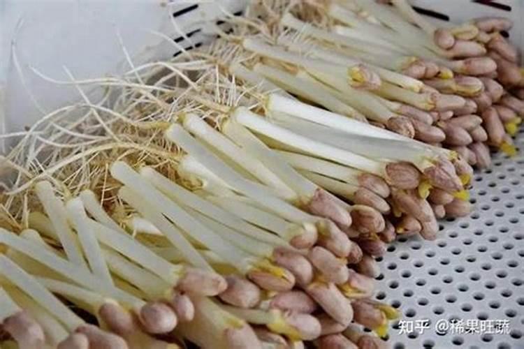 花生什么时候施肥