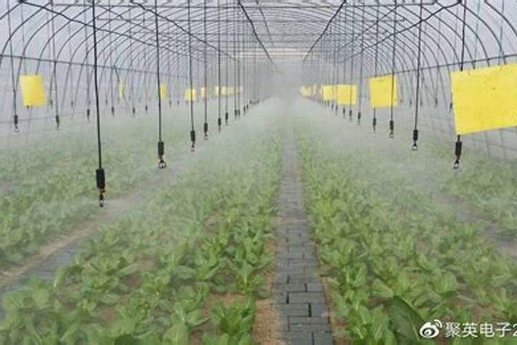 怎样鉴别常用化学肥料的种类？