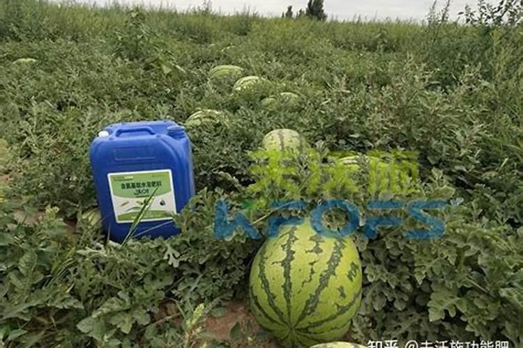 水溶肥的正确使用方法和用量