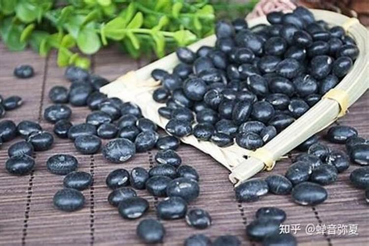 大豆用什么肥料最旺盛