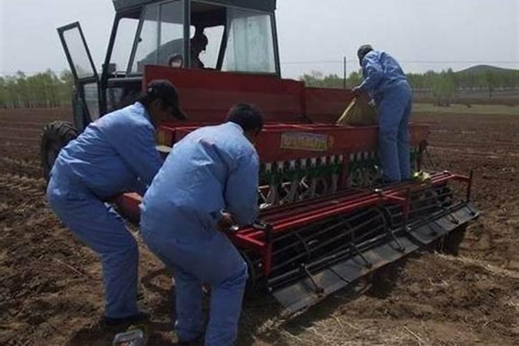 亚麻籽粉可以做肥料吗