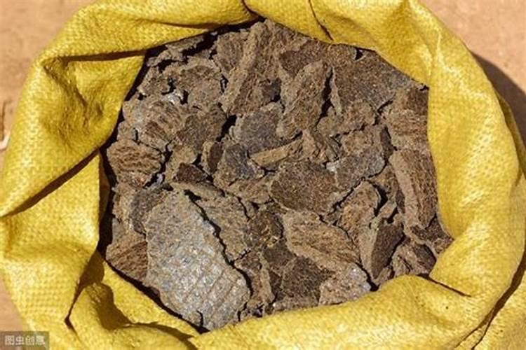 养栀子花的肥料 栀子花最好的肥料是什么怎么施