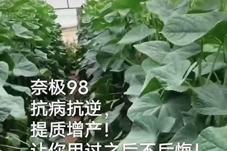 江苏苗木市场有哪些江苏宿迁苗木