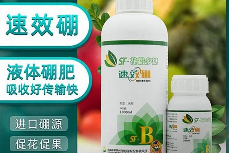 果树施什么肥最好