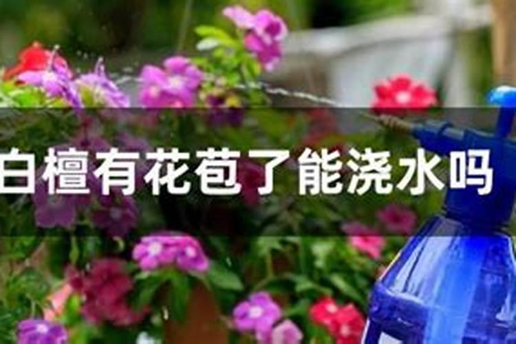怎样解硼肥药害