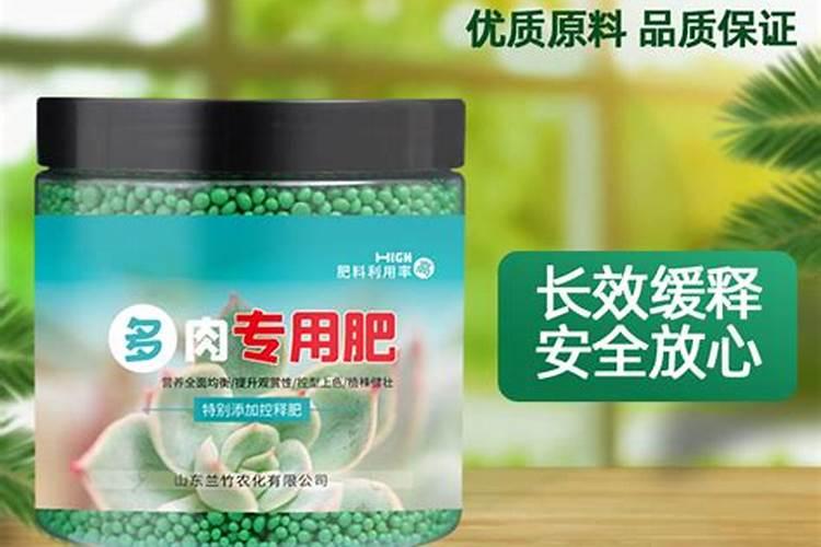 多肉植物需要什么肥料
