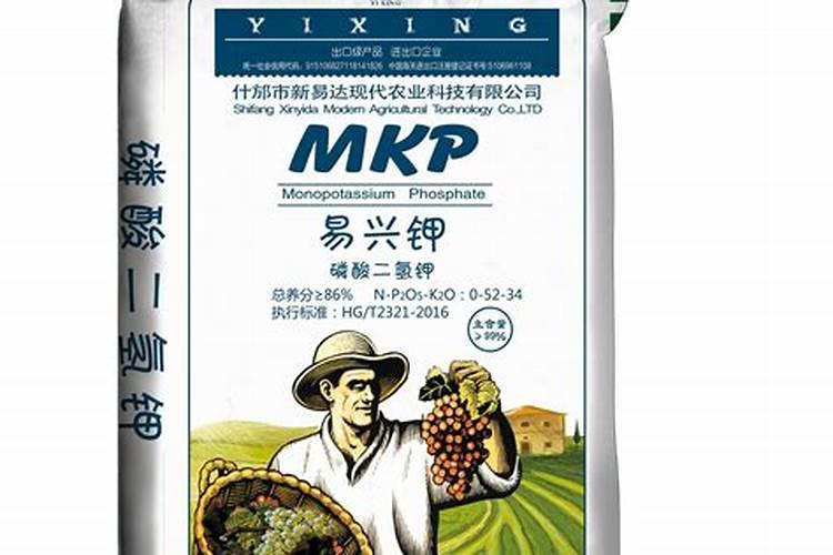沙糖桔该几月份放钾肥 如何做好种植管理