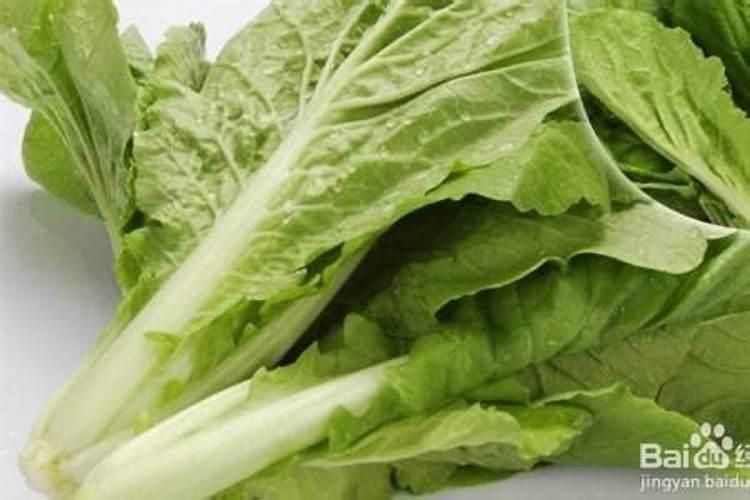 白菜最忌三种肥料