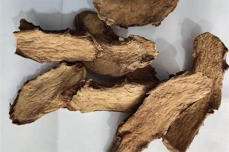 茨菇要怎样栽培和管理？冬茨菇要怎么合理施肥(不进田施还是进田施)？怎...
