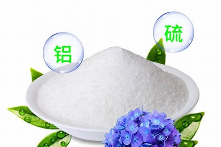 绣球花应该如何施肥管理？