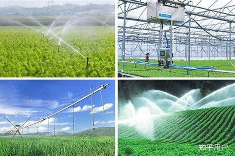 亚磷酸钾用在果树控旺在什么时期使用效果更好？